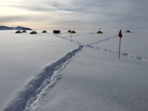 After the snow at tent city.